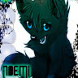 Meet your Posher, Noemi